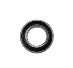 SF-6007-2RS BALL BEARING