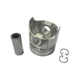 SFEP-1567   PISTON W/ PIN & CLIPS