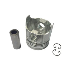 SFEP-1467   PISTON W/ PIN & CLIPS